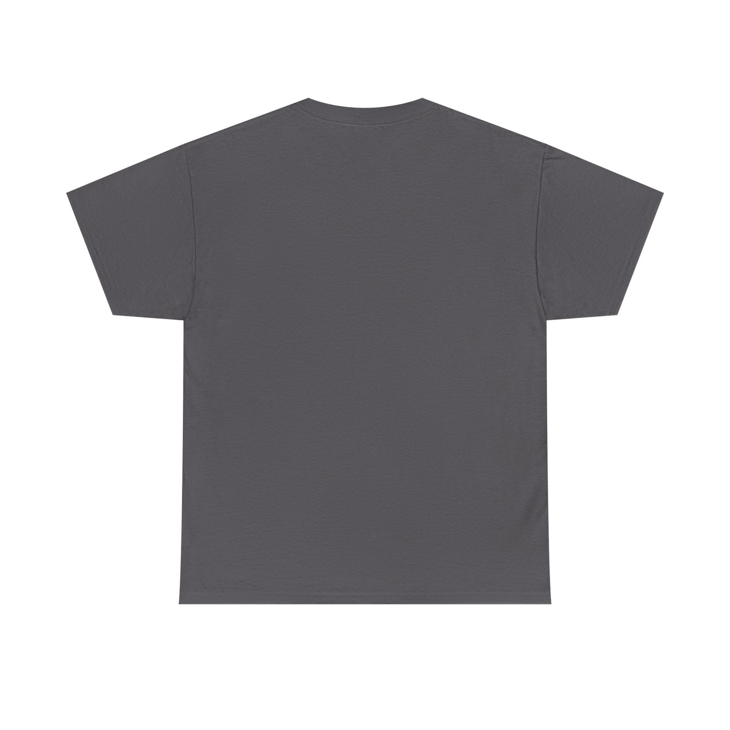 Car Washer T-Shirt – Funny Auto Detailing Pressure Washer Graphic Tee