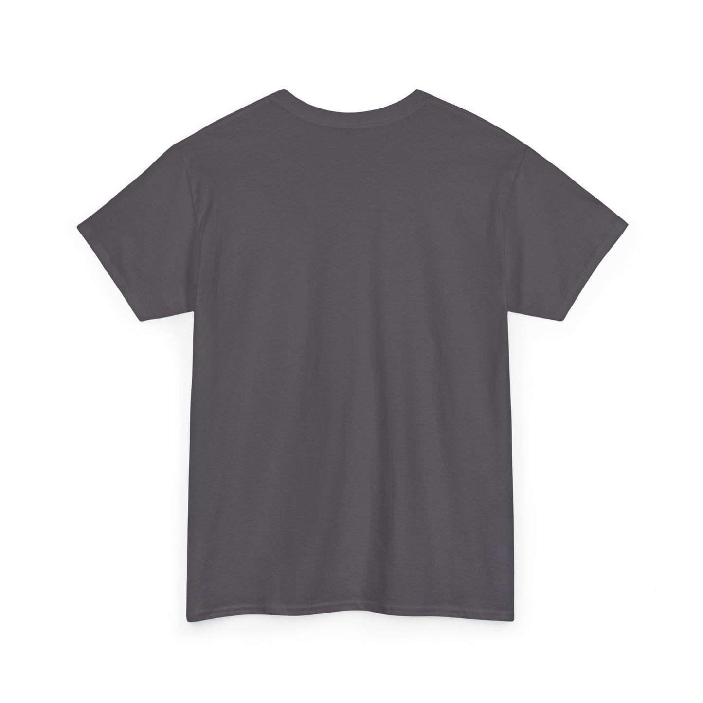 Car Washer T-Shirt – Funny Auto Detailing Pressure Washer Graphic Tee