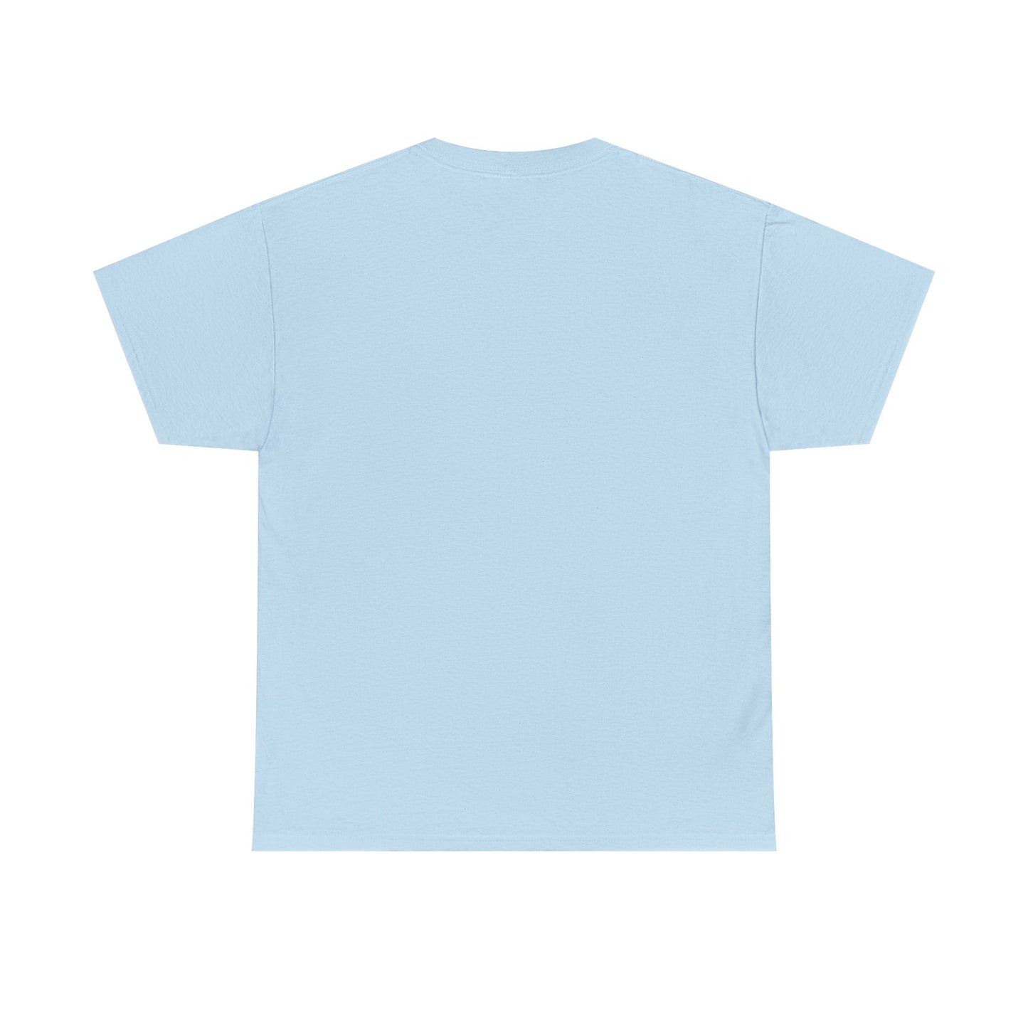 Car Washer T-Shirt – Funny Auto Detailing Pressure Washer Graphic Tee