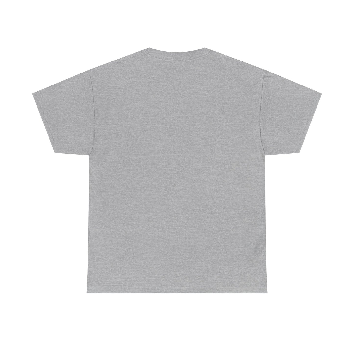 Car Washer T-Shirt – Funny Auto Detailing Pressure Washer Graphic Tee