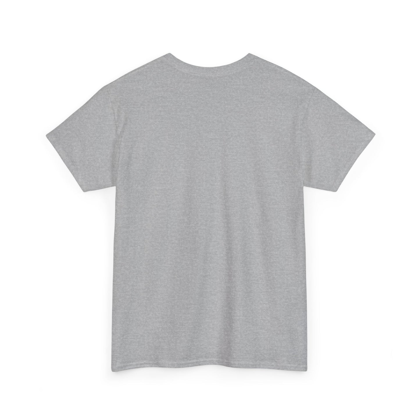 Car Washer T-Shirt – Funny Auto Detailing Pressure Washer Graphic Tee