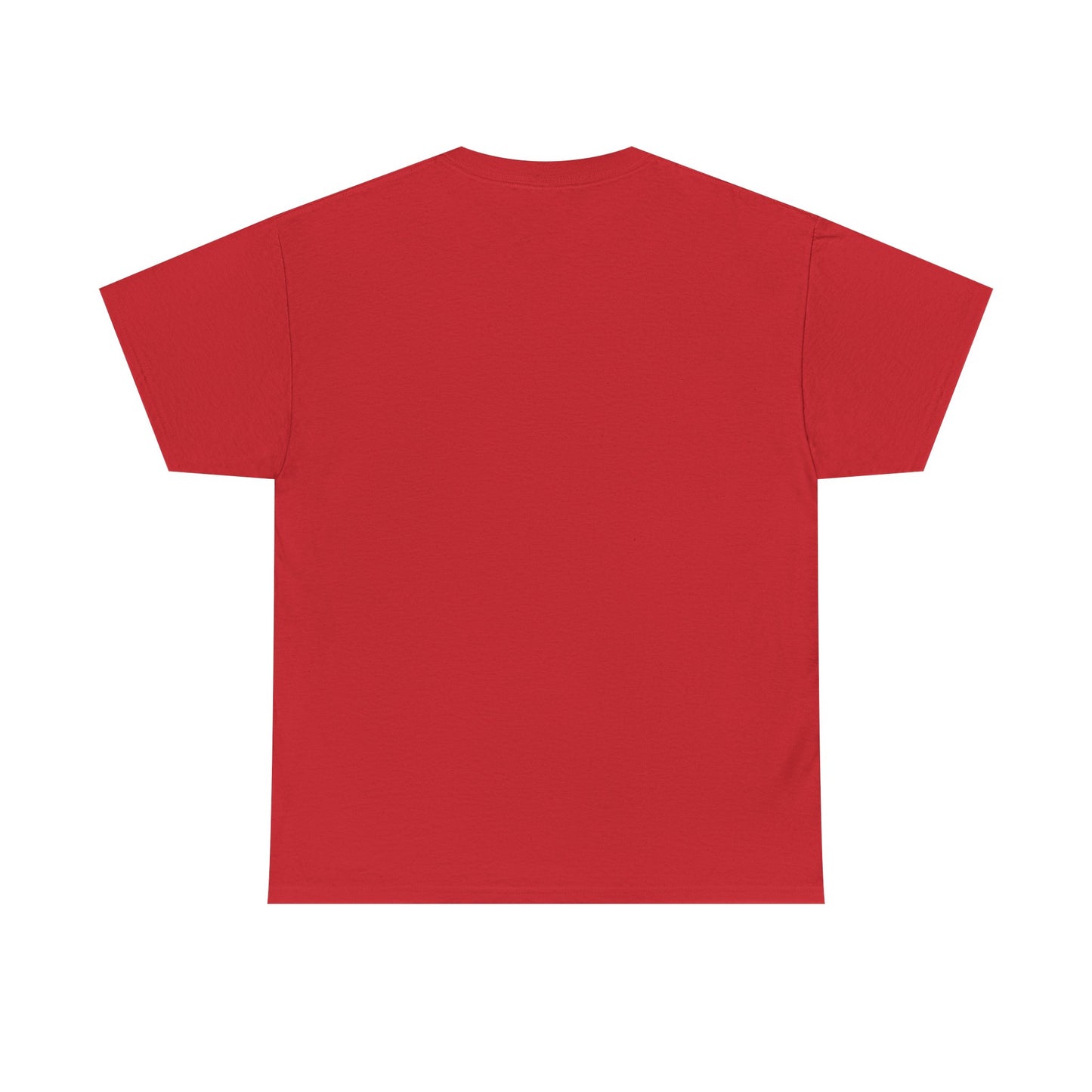Motorcycle Detailer T-Shirt – Bike Cleaning & Polishing Crew Tee