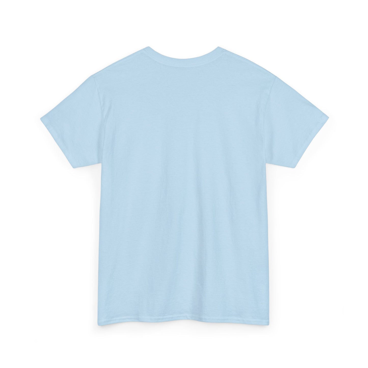 Car Washer T-Shirt – Funny Auto Detailing Pressure Washer Graphic Tee