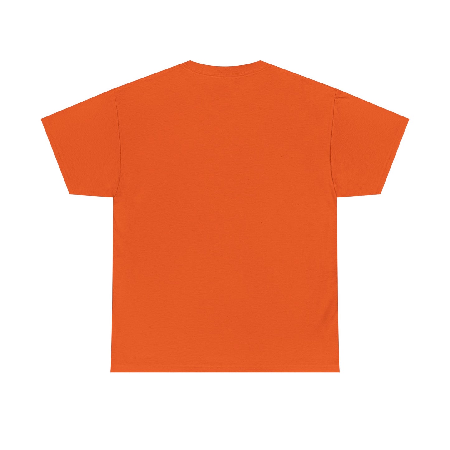 Motorcycle Detailer T-Shirt – Bike Cleaning & Polishing Crew Tee