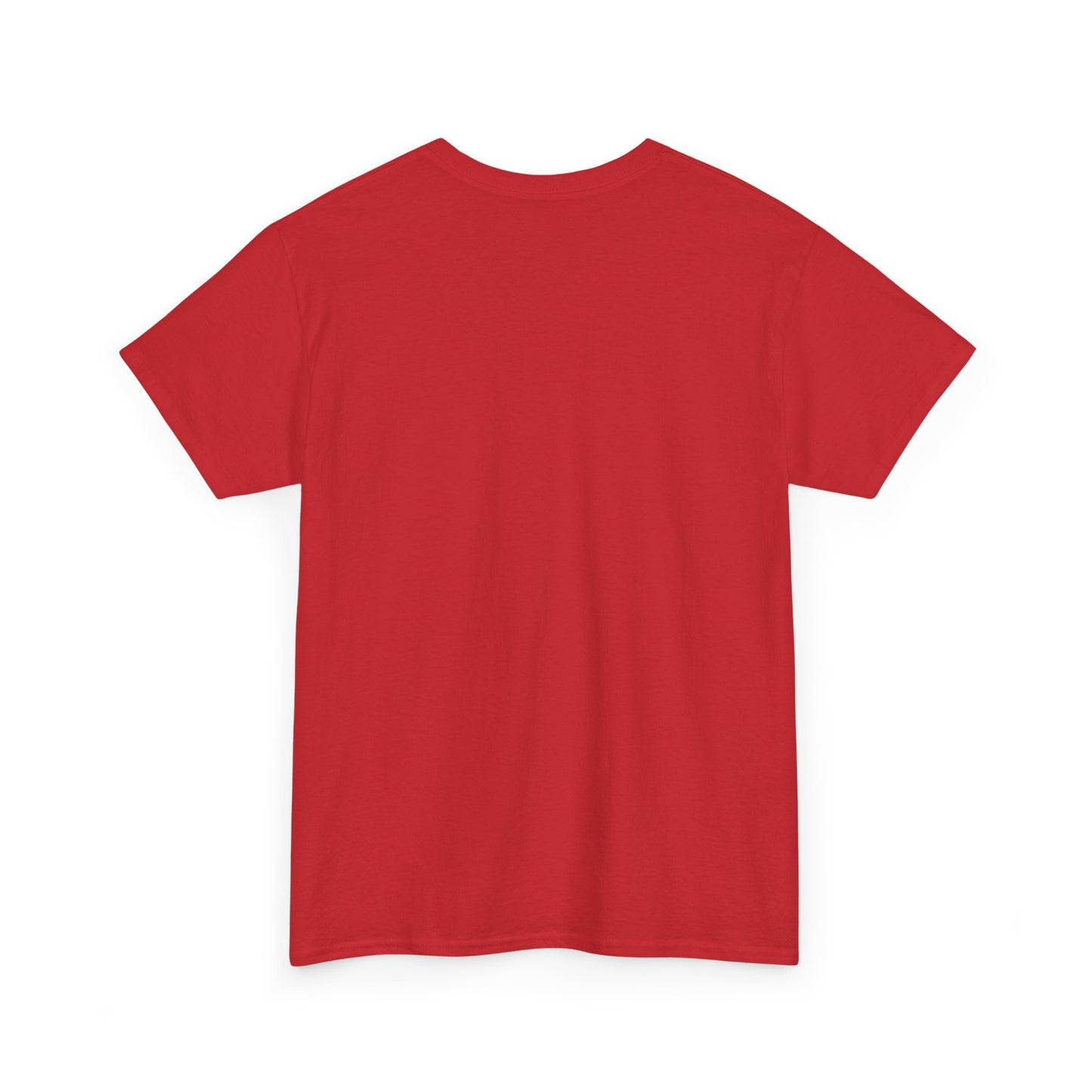 Motorcycle Detailer T-Shirt – Bike Cleaning & Polishing Crew Tee