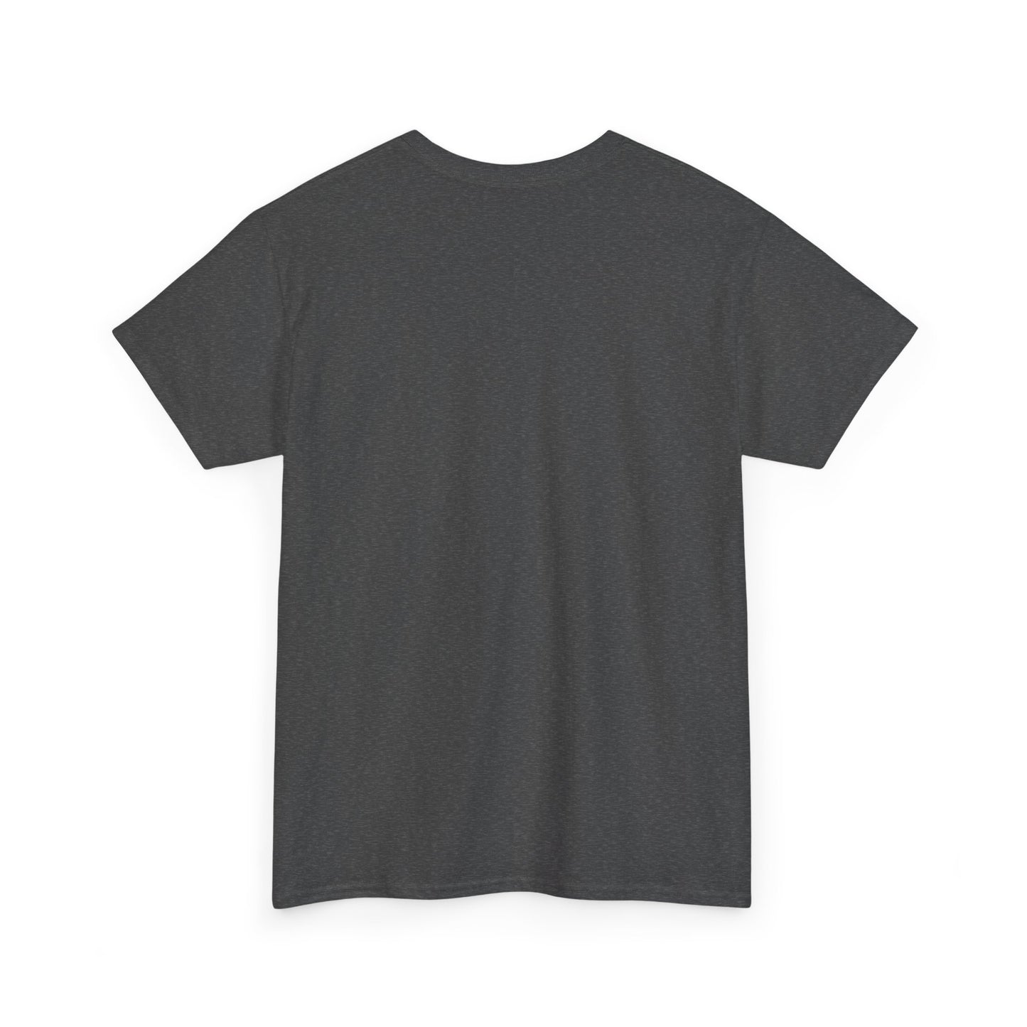 Car Washer T-Shirt – Funny Auto Detailing Pressure Washer Graphic Tee