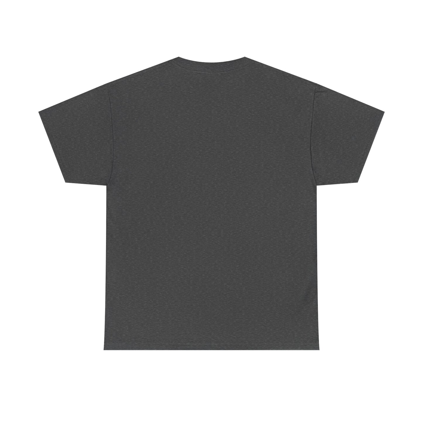 Car Washer T-Shirt – Funny Auto Detailing Pressure Washer Graphic Tee