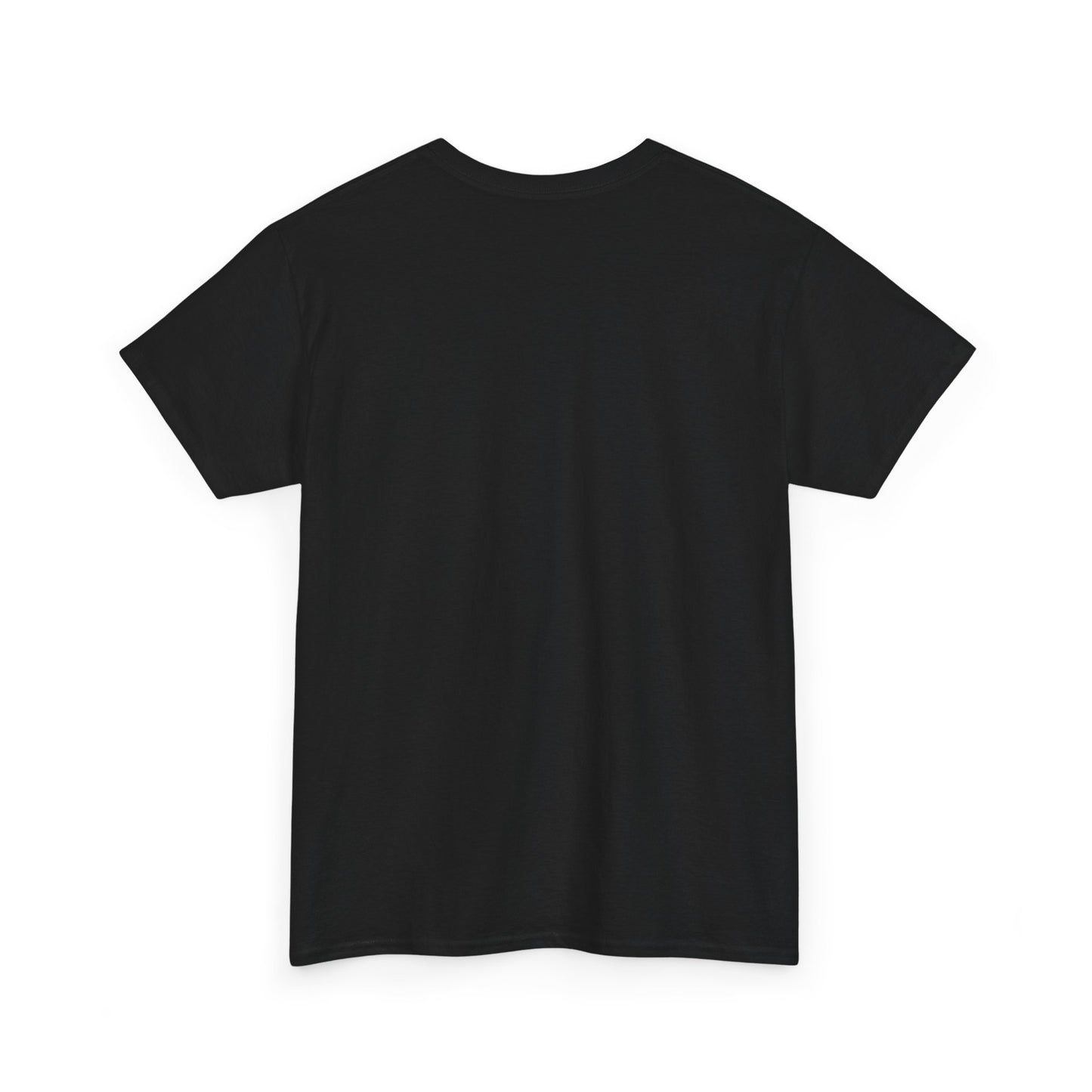 Car Washer T-Shirt – Funny Auto Detailing Pressure Washer Graphic Tee