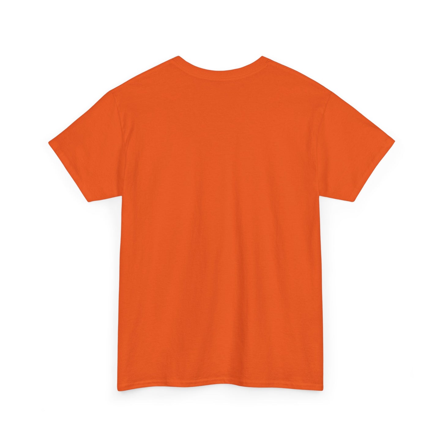 Motorcycle Detailer T-Shirt – Bike Cleaning & Polishing Crew Tee