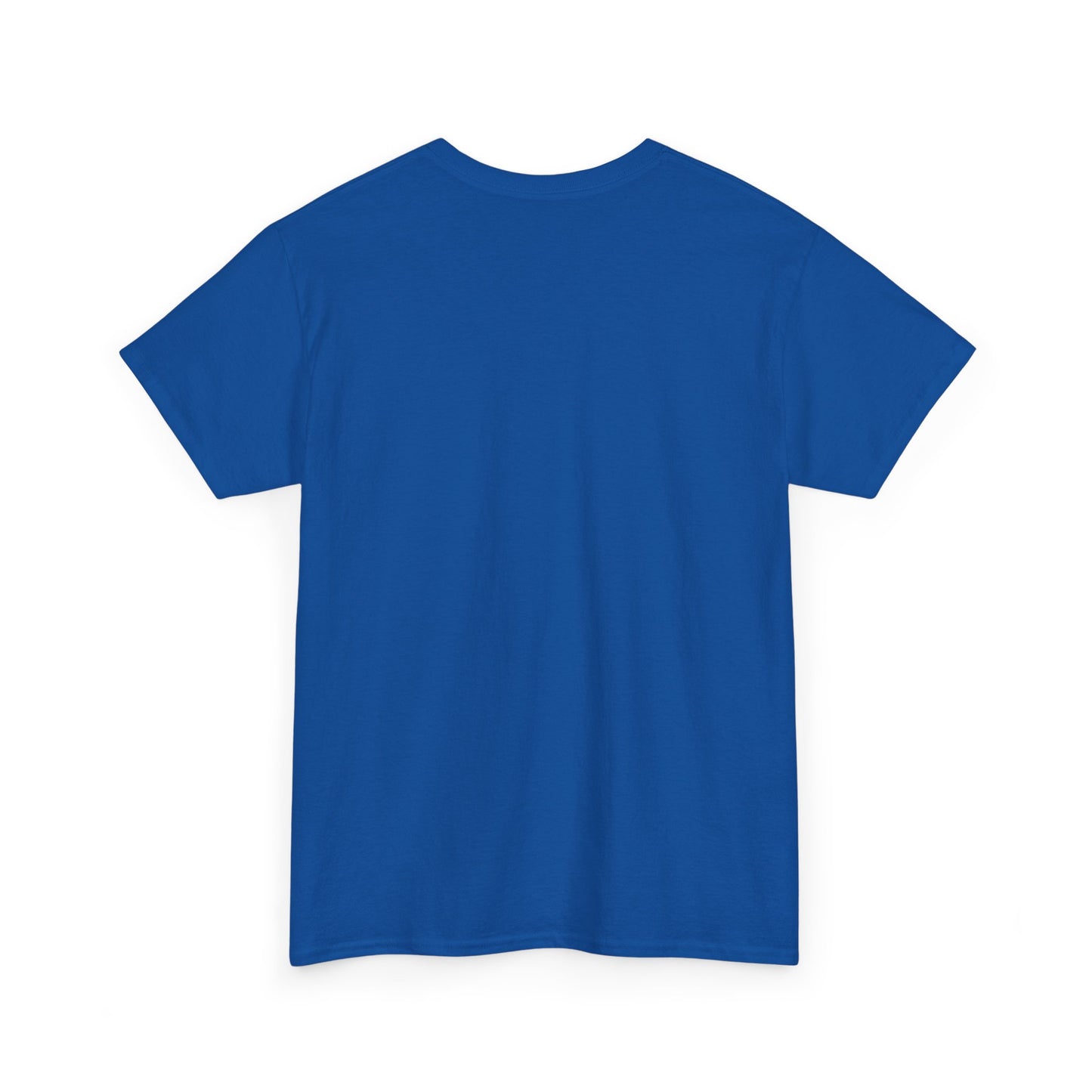 Motorcycle Detailer T-Shirt – Bike Cleaning & Polishing Crew Tee